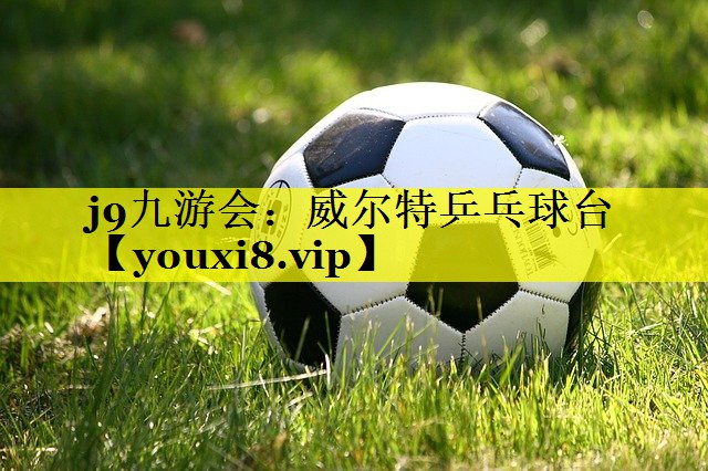 j9九游会：威尔特乒乓球台