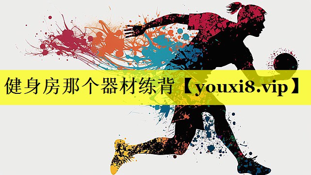 健身房那个器材练背