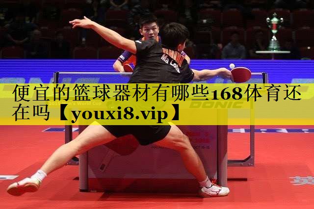 便宜的篮球器材有哪些168体育还在吗