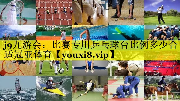 j9九游会：比赛专用乒乓球台比例多少合适冠亚体育