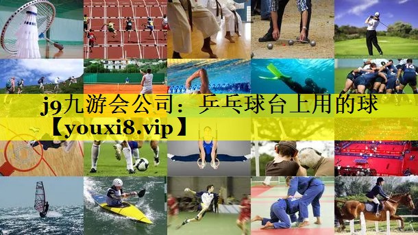 乒乓球台上用的球
